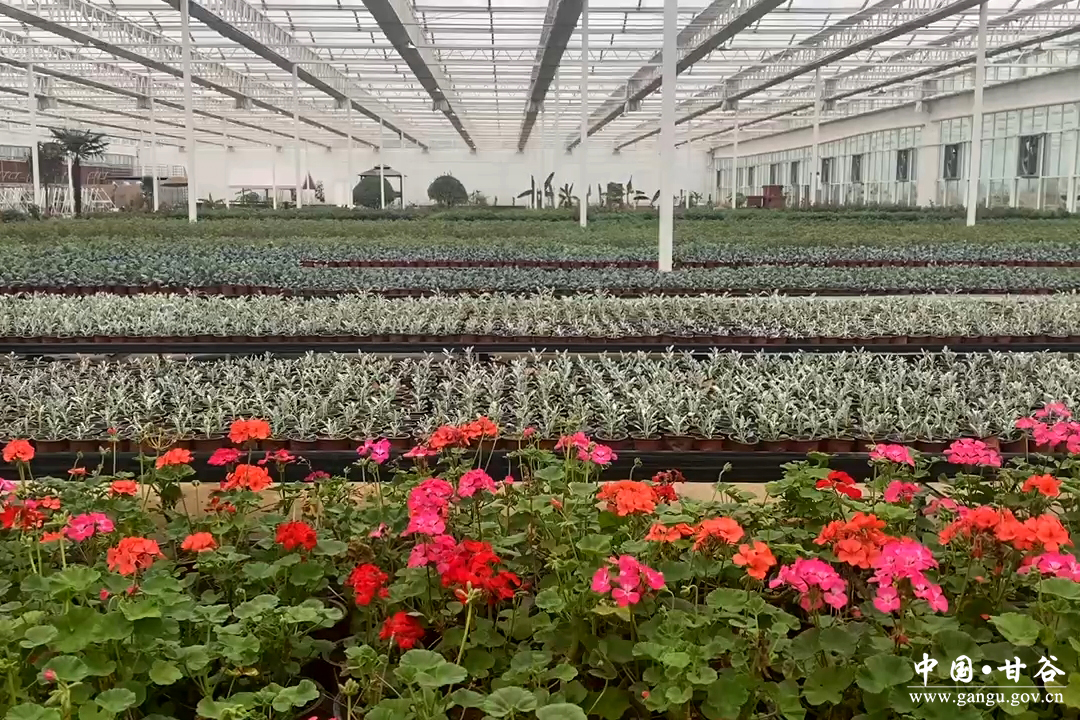 1733383920542070210.jpg 25.jpg