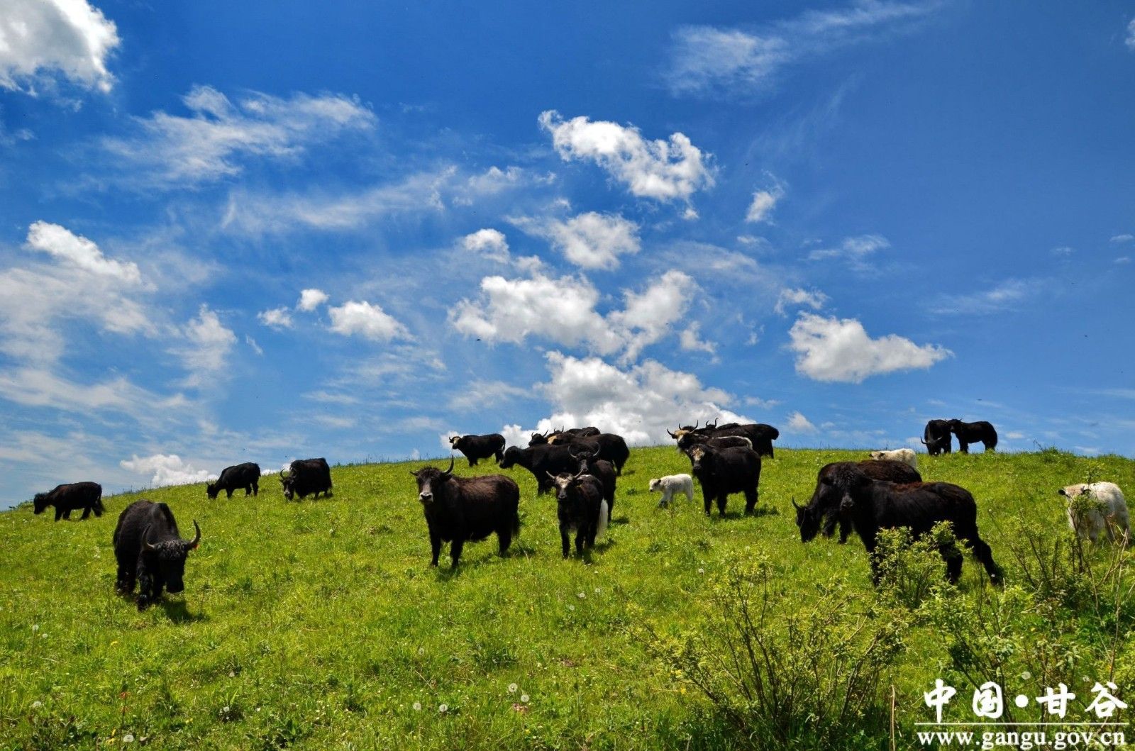 virtual_attach_file (2) virtual_attach_file (2)