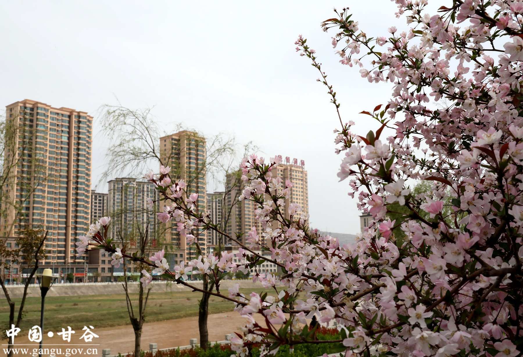 virtual_attach_file (3) virtual_attach_file (3)