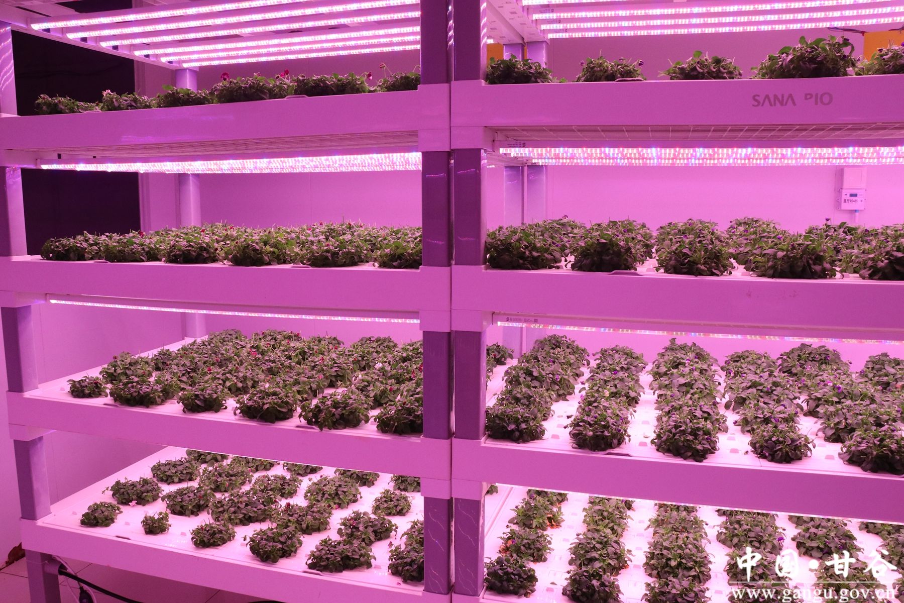 IMG_0479_副本 IMG_0479_副本