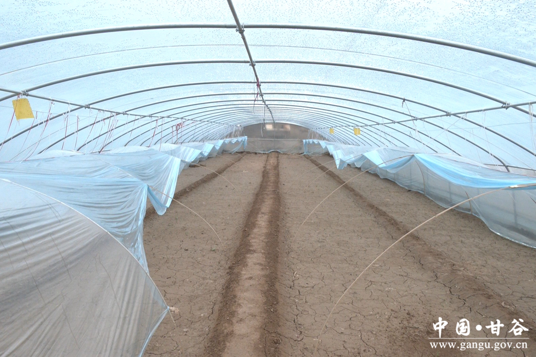 微信图片_20240316110049 微信图片_20240316110049