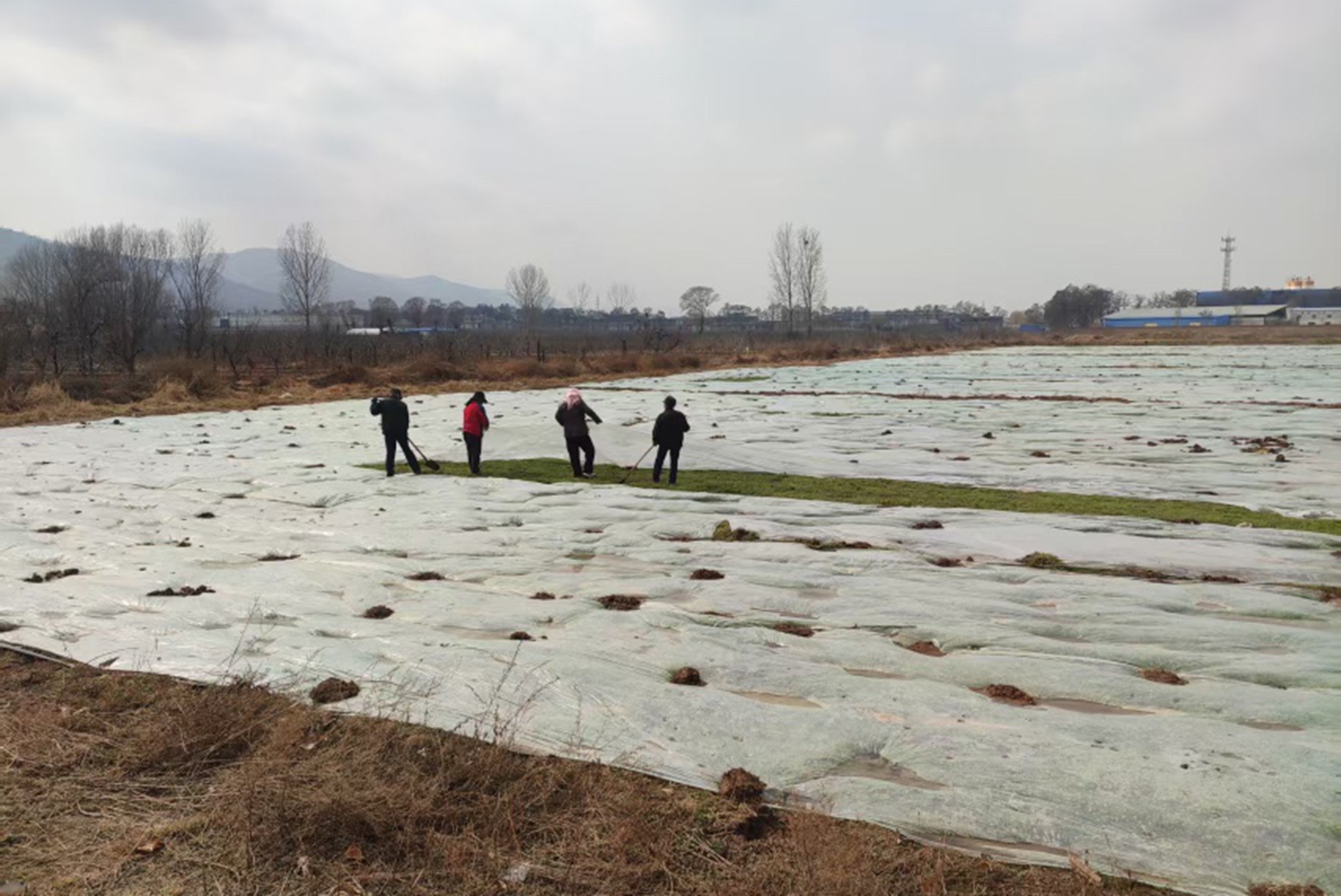 0dfd305b0a7e4529a61a1d6198e0dc22 0dfd305b0a7e4529a61a1d6198e0dc22