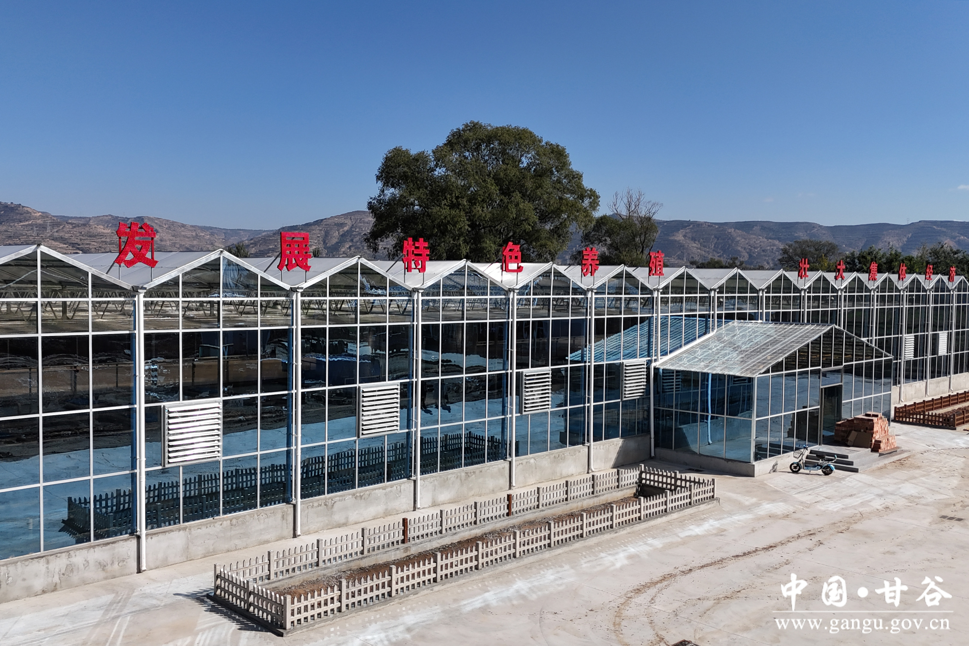 1729672826232016936.jpg 1729672826232016936.jpg