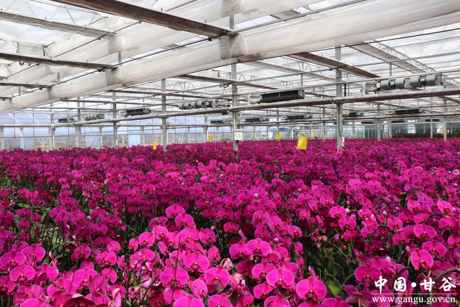 IMG_0490_副本 IMG_0490_副本