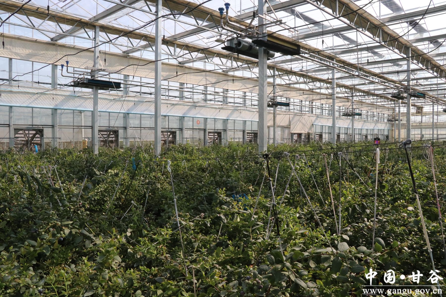 IMG_0514_副本 IMG_0514_副本