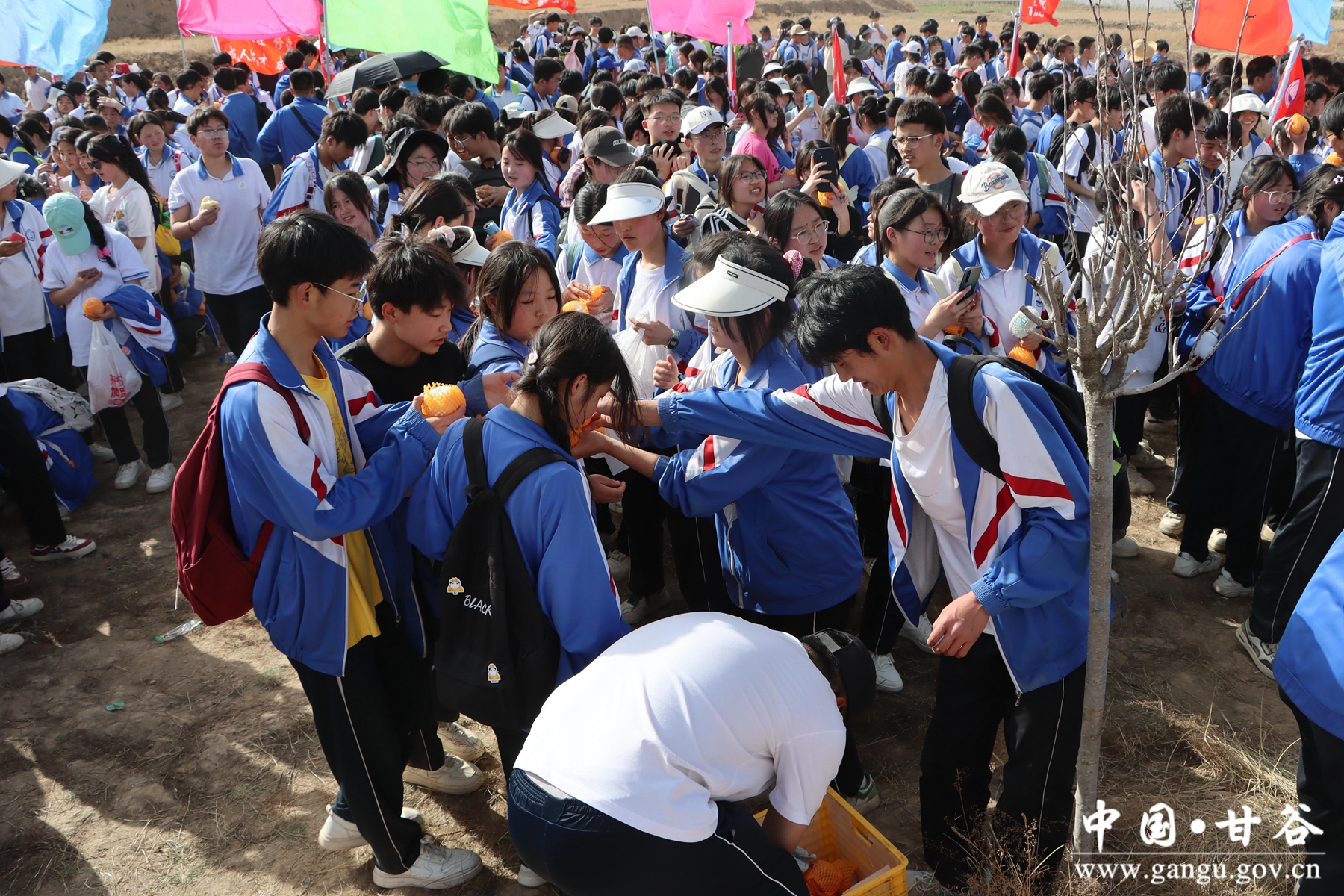 微信图片_20250421094712 微信图片_20250421094712