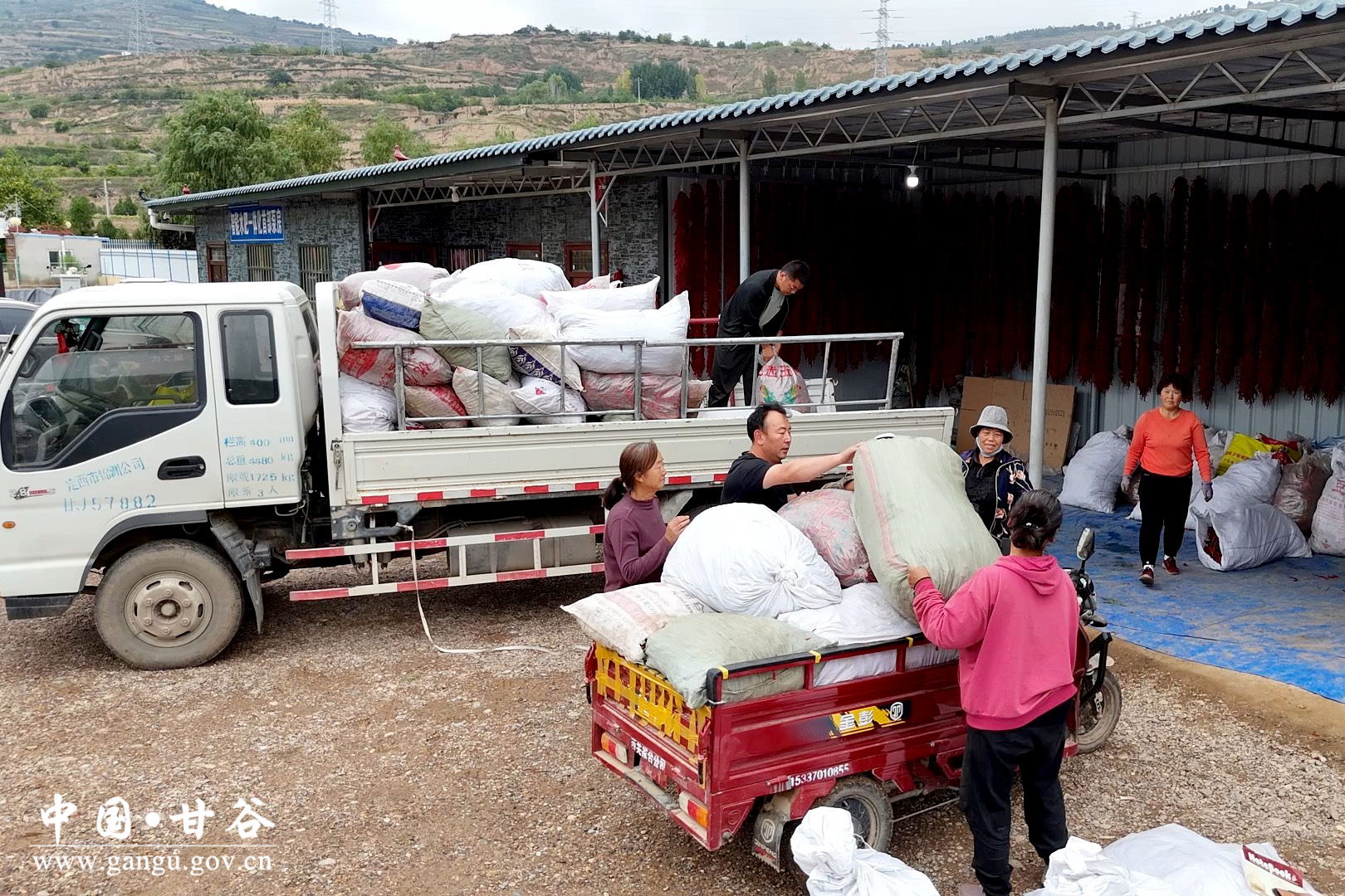 1726042282179037008.jpg 1726042282179037008.jpg