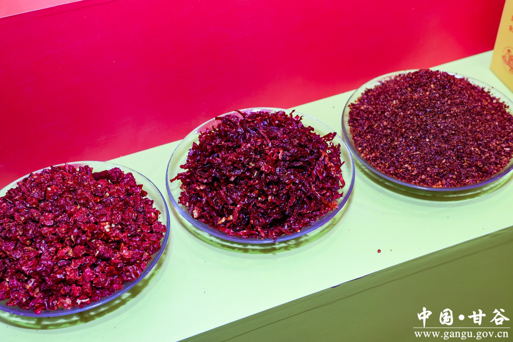 微信图片_20251230152714_275_181_副本 微信图片_20251230152714_275_181_副本