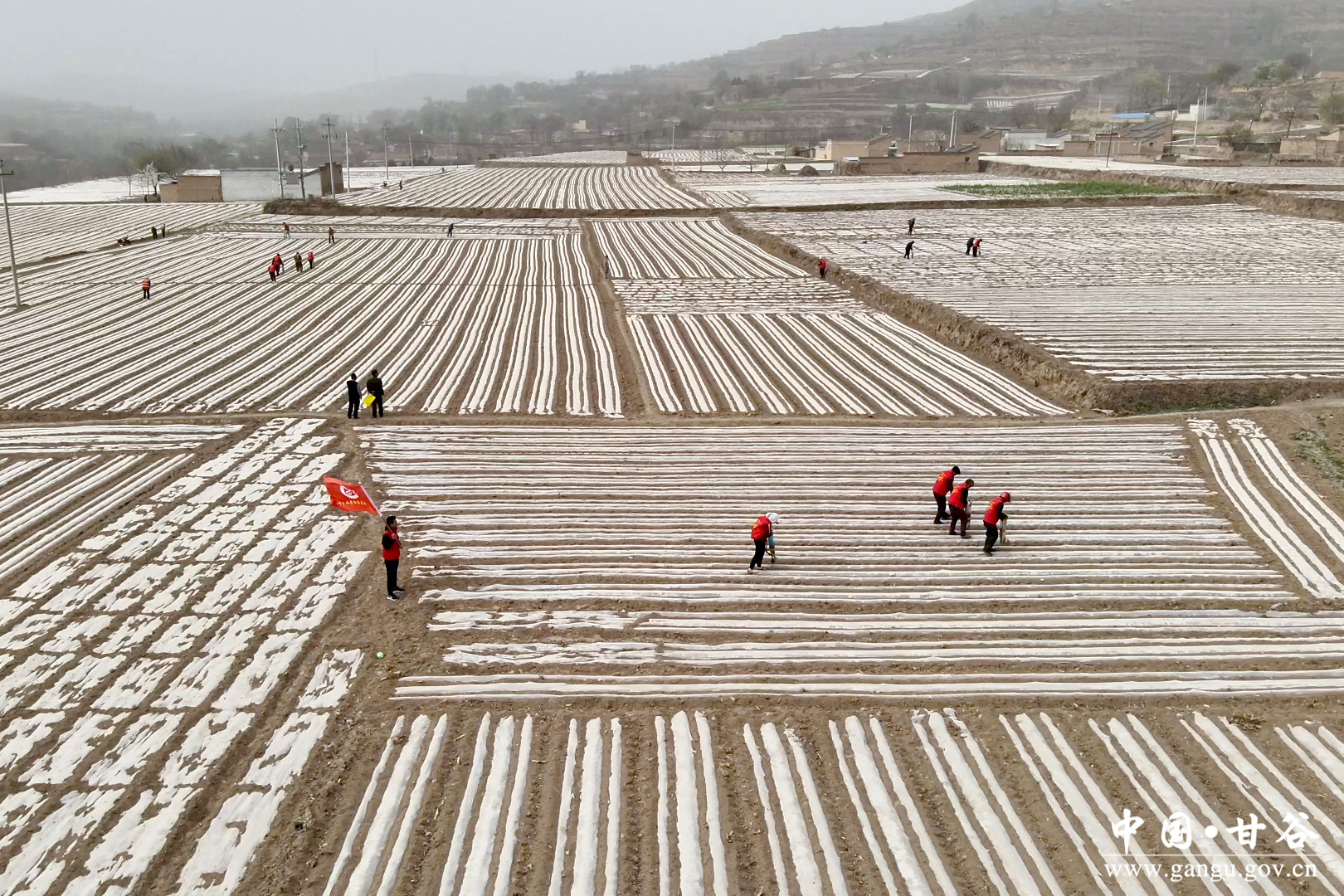 1745206267205040629.jpg 1745206267205040629.jpg