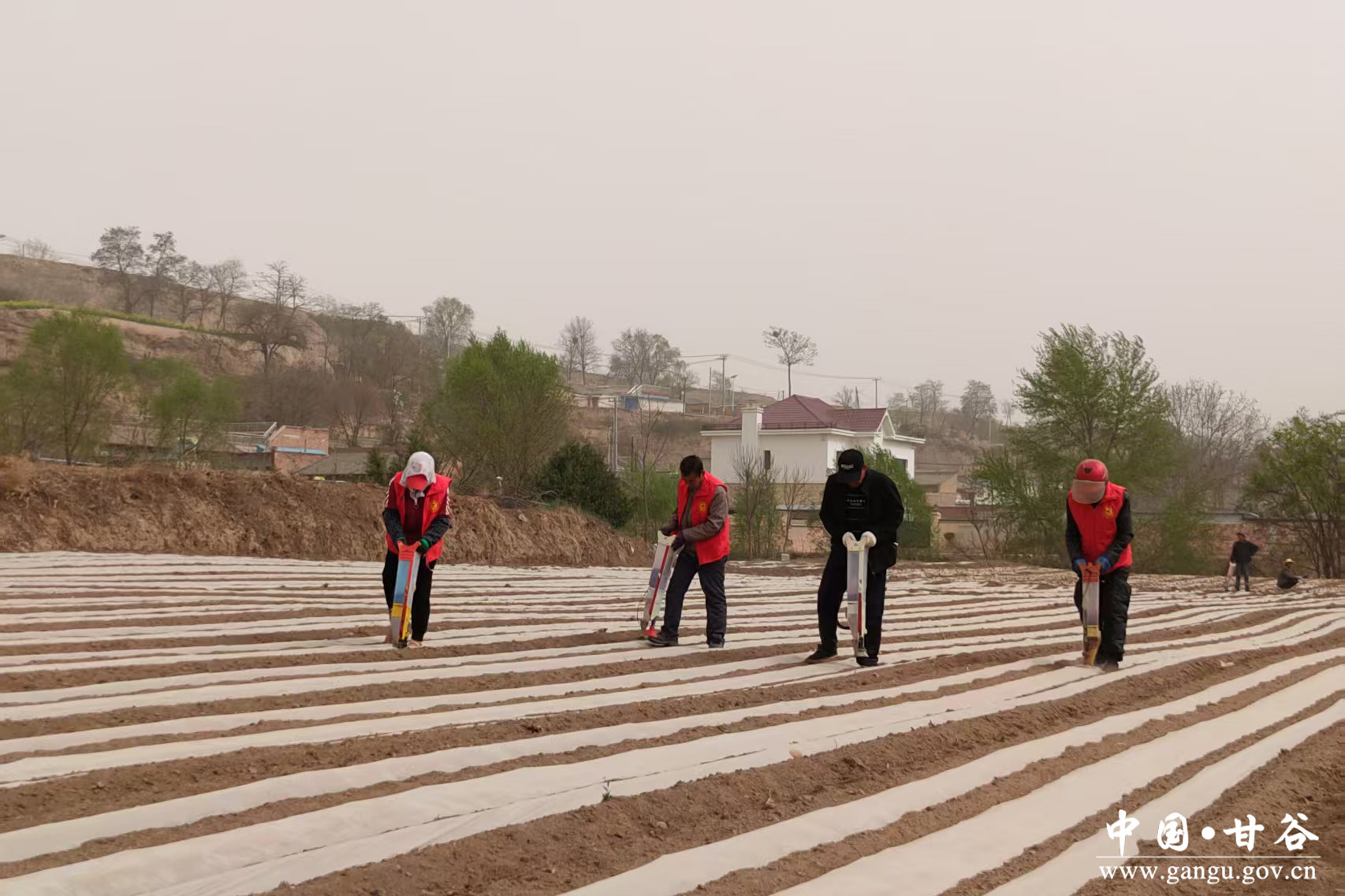 1745206282448026097.jpg 1745206282448026097.jpg