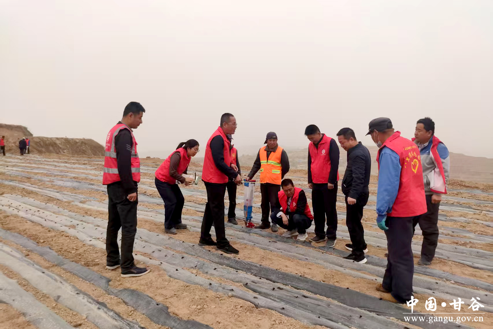 1745206299238048646.jpg 1745206299238048646.jpg