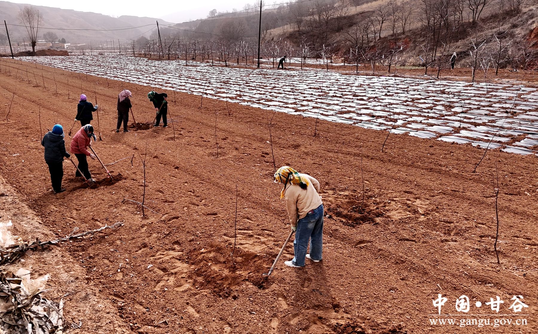 DJI_20250311103439_0605_D DJI_20250311103439_0605_D