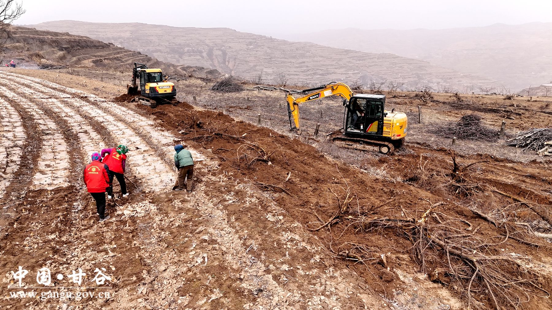 DJI_20250311113324_0628_D DJI_20250311113324_0628_D