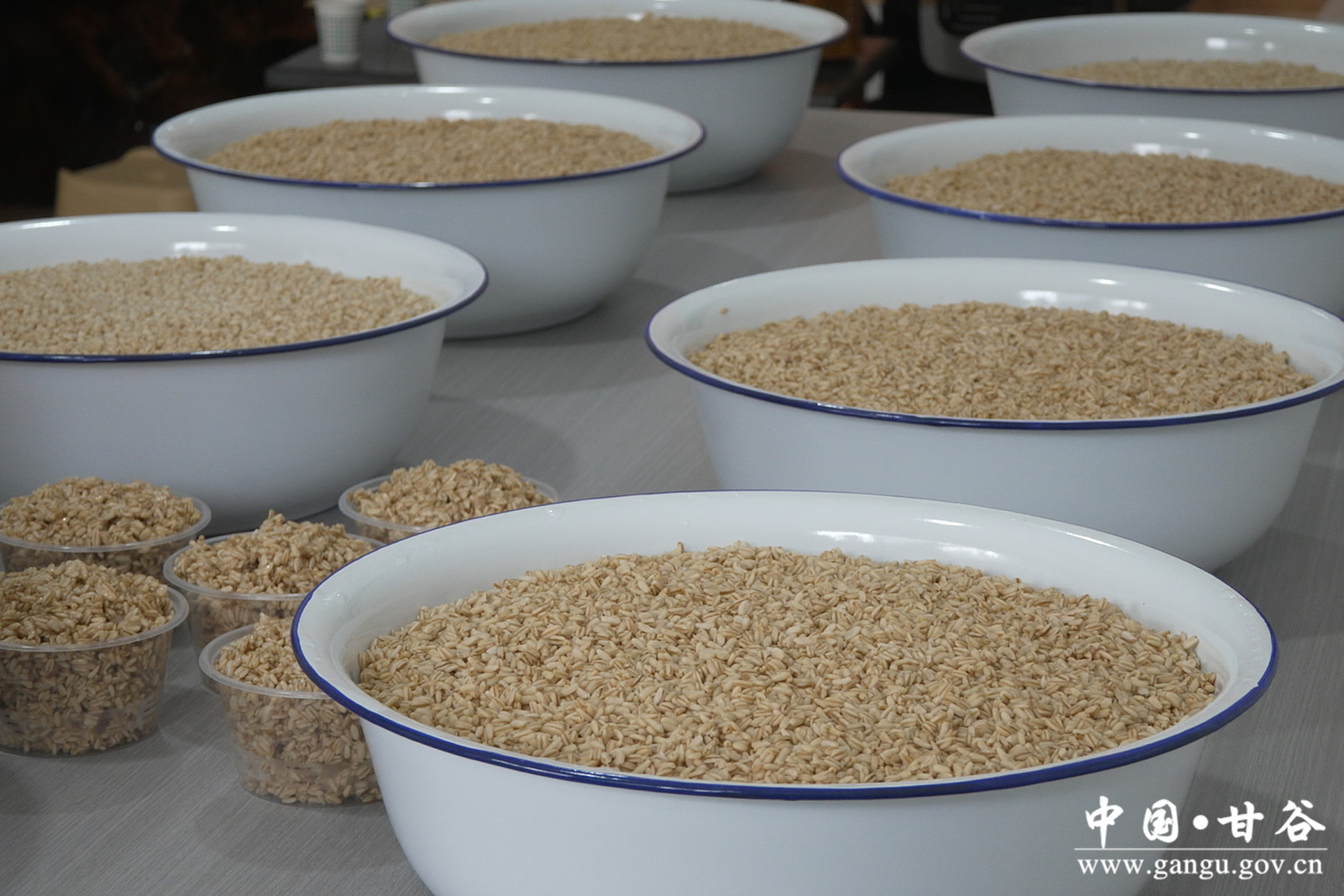 微信图片_20251218200030_98_141 微信图片_20251218200030_98_141