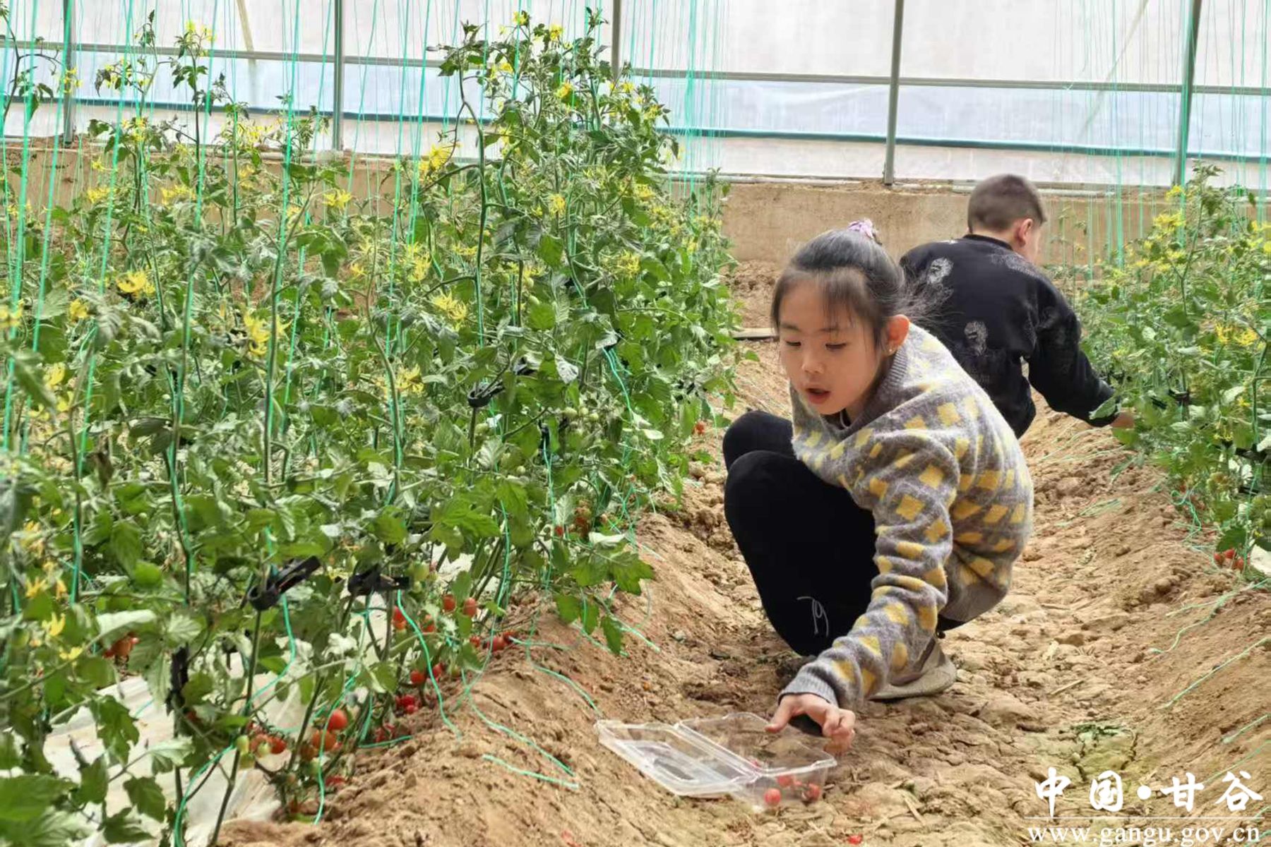 微信图片_20250405162058 微信图片_20250405162058