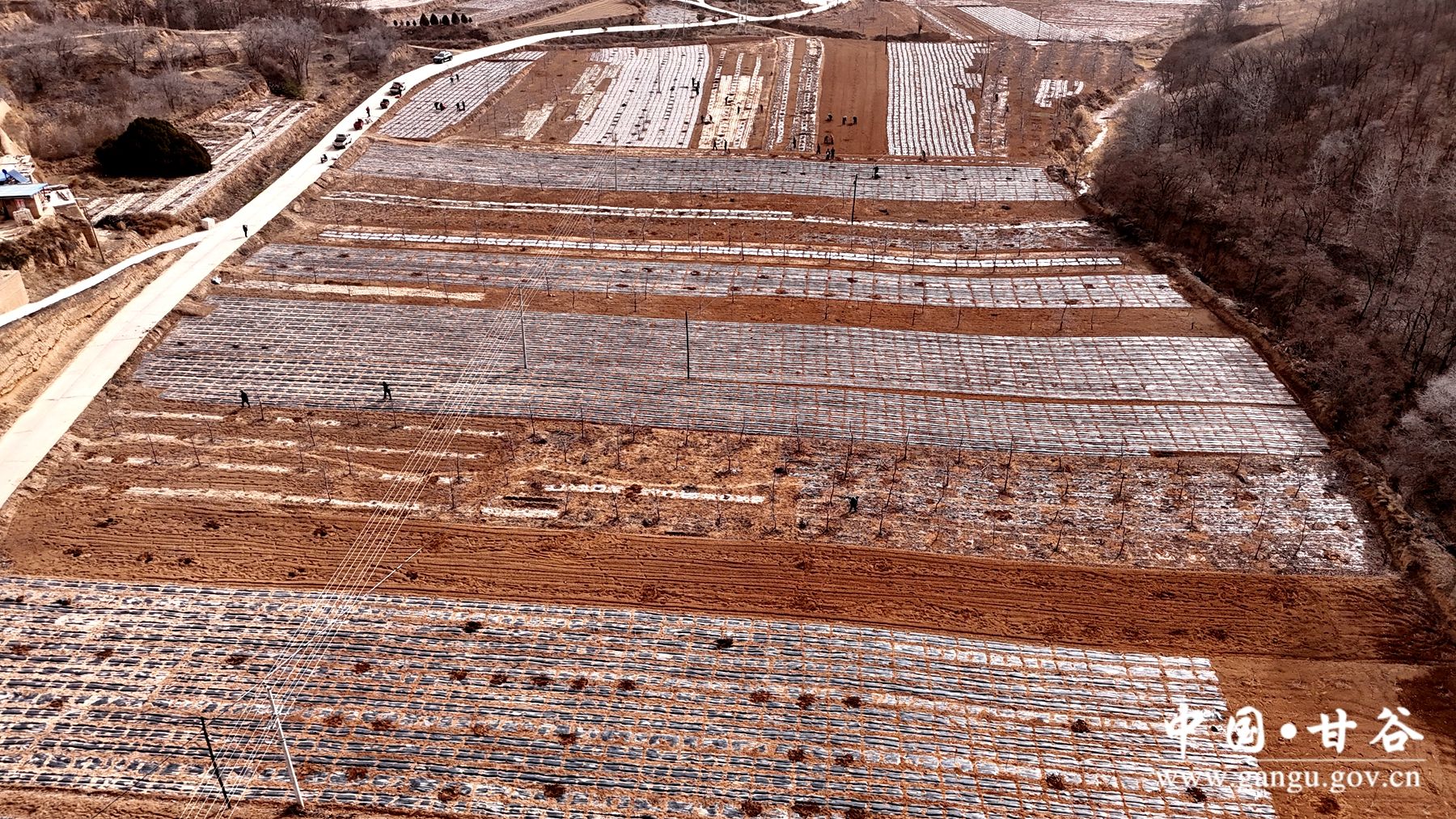 DJI_20250311103556_0607_D DJI_20250311103556_0607_D