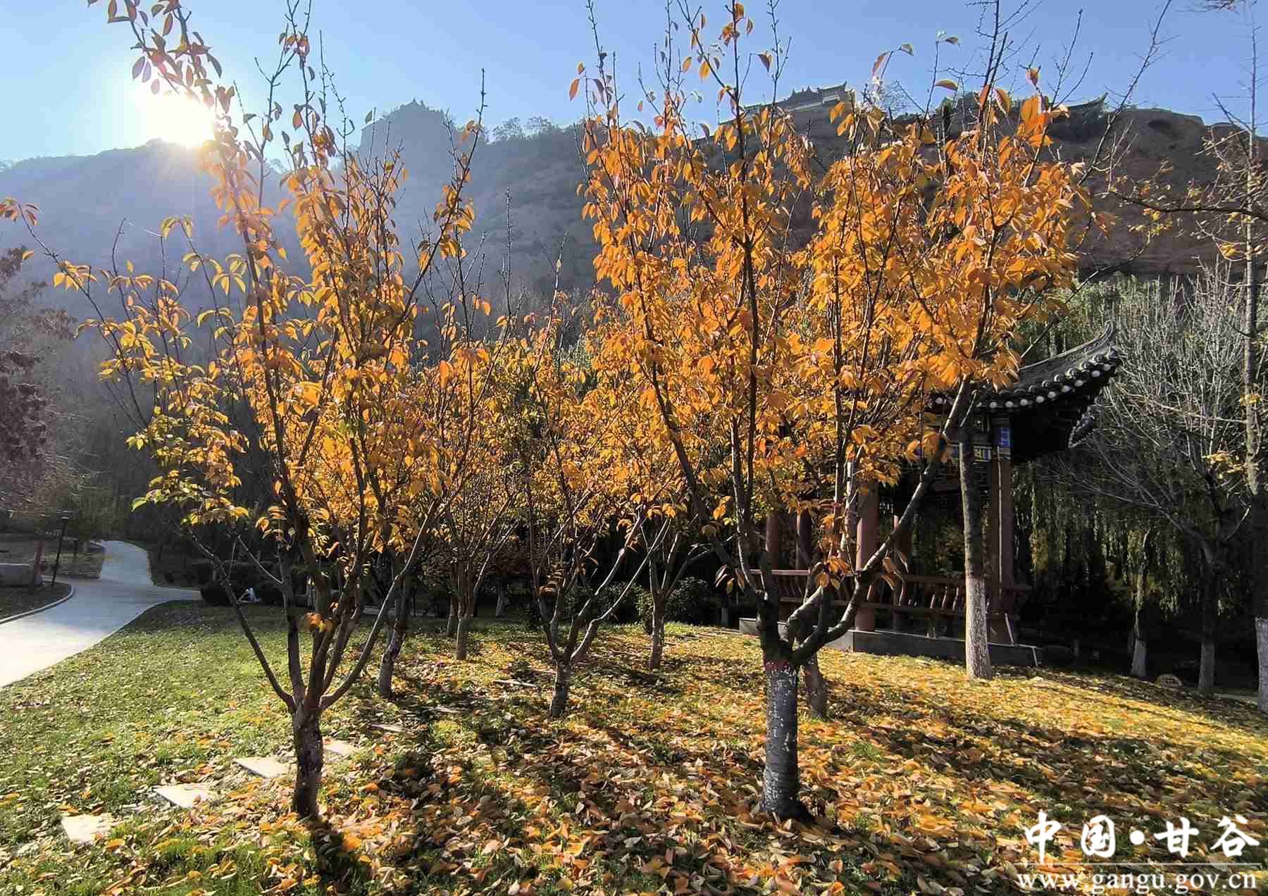 王小龙 (4) 王小龙 (4)