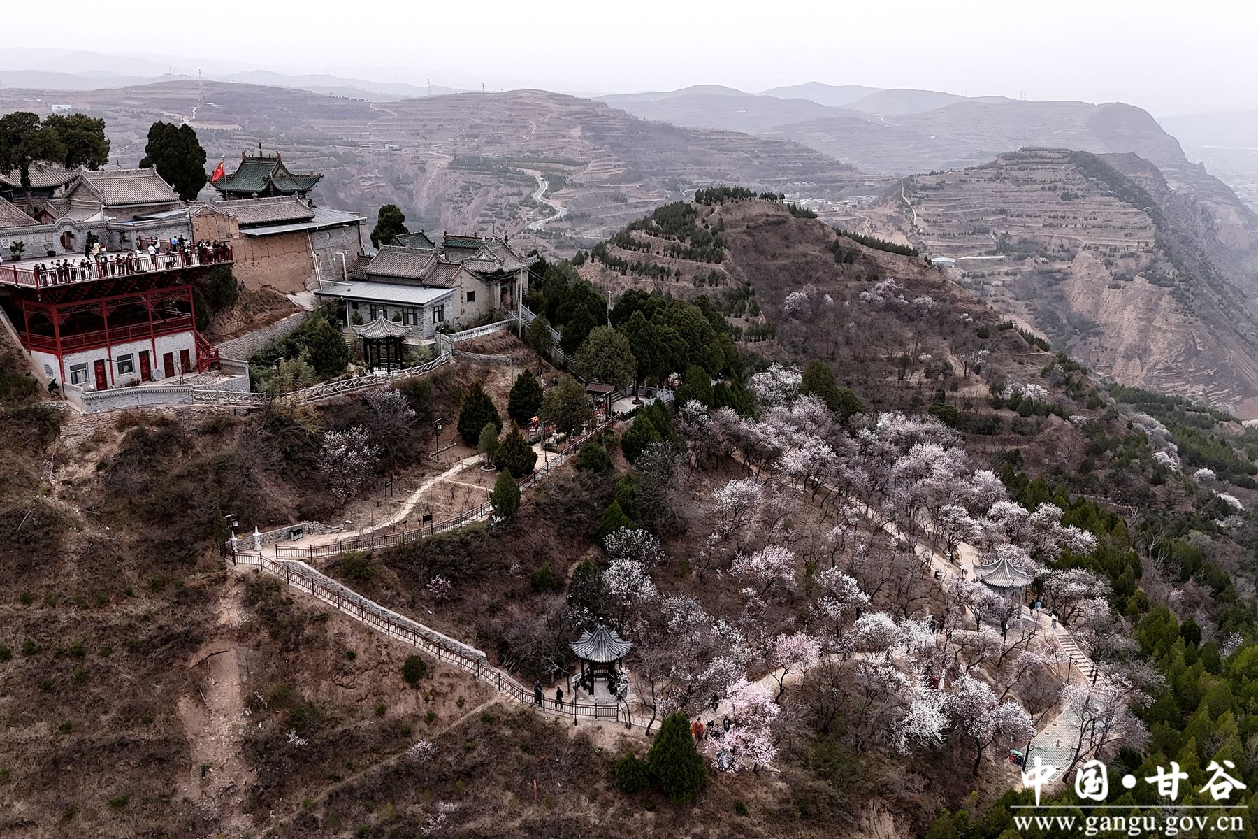 微信图片_20250405172048_副本_副本 微信图片_20250405172048_副本_副本