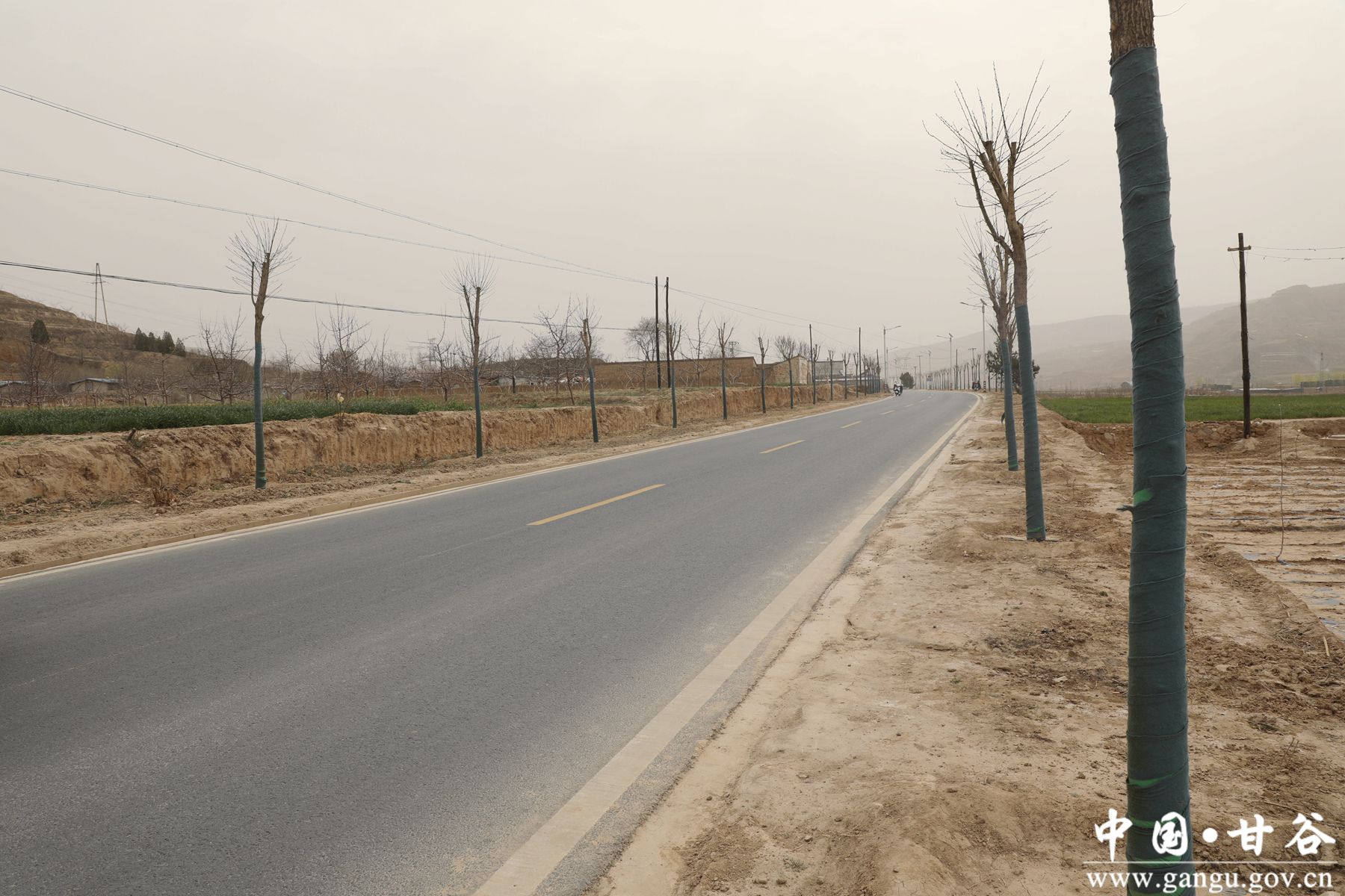 926A6100_副本 926A6100_副本