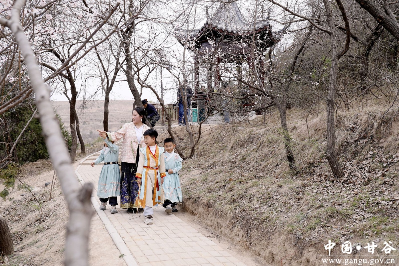 _MG_1647_副本_副本 _MG_1647_副本_副本