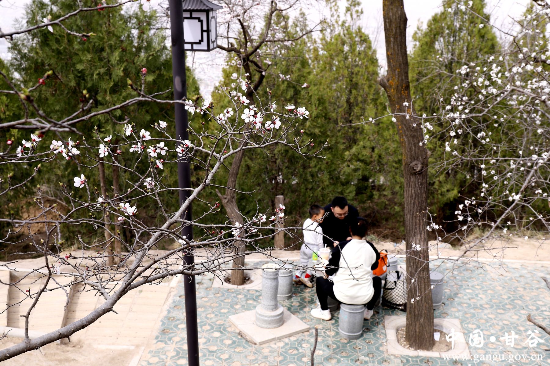 _MG_1593_副本_副本 _MG_1593_副本_副本