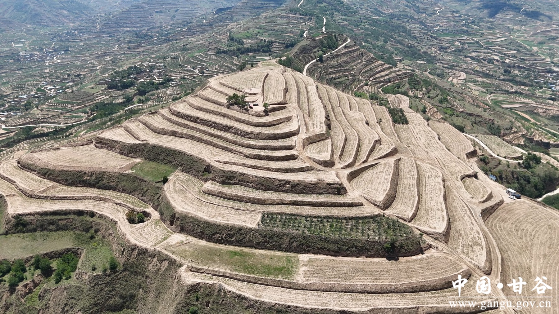 微信图片_20250630164201 微信图片_20250630164201