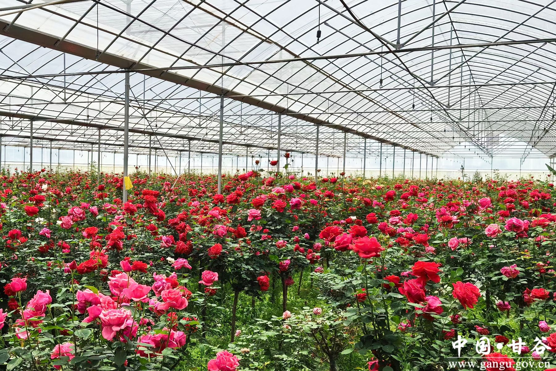 微信图片_20241127150748 微信图片_20241127150748