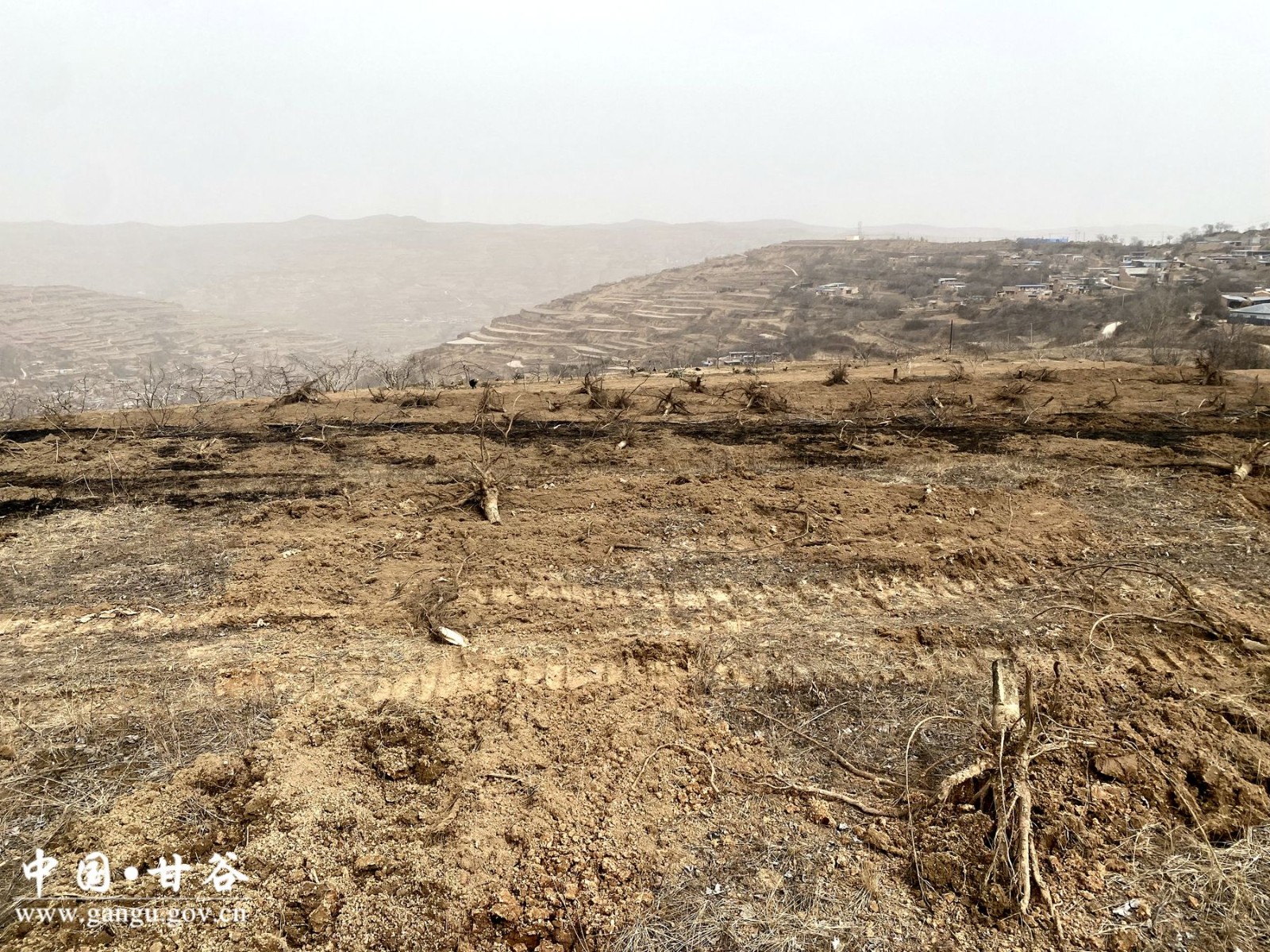 65251849f928a94d293494bcab1bc6e 65251849f928a94d293494bcab1bc6e