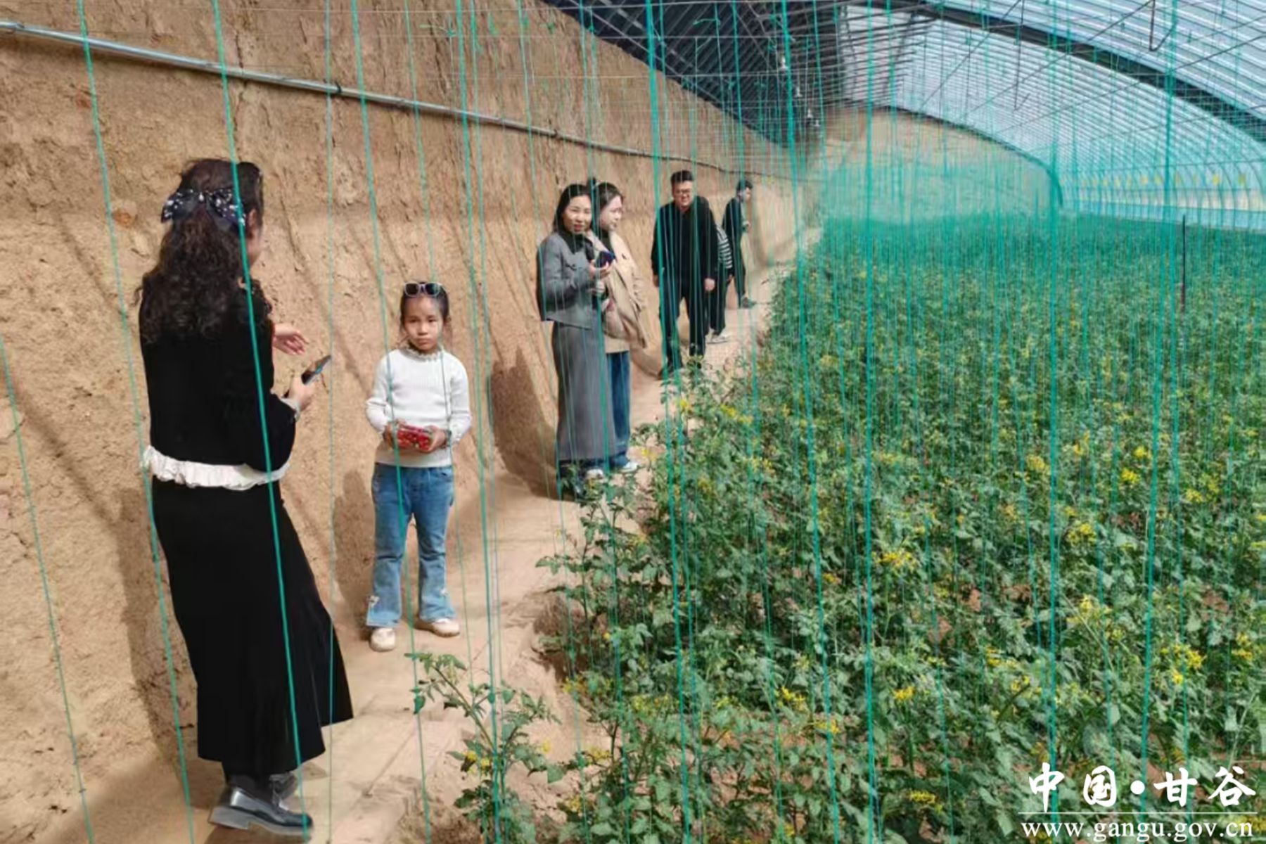 微信图片_20250405162056 微信图片_20250405162056