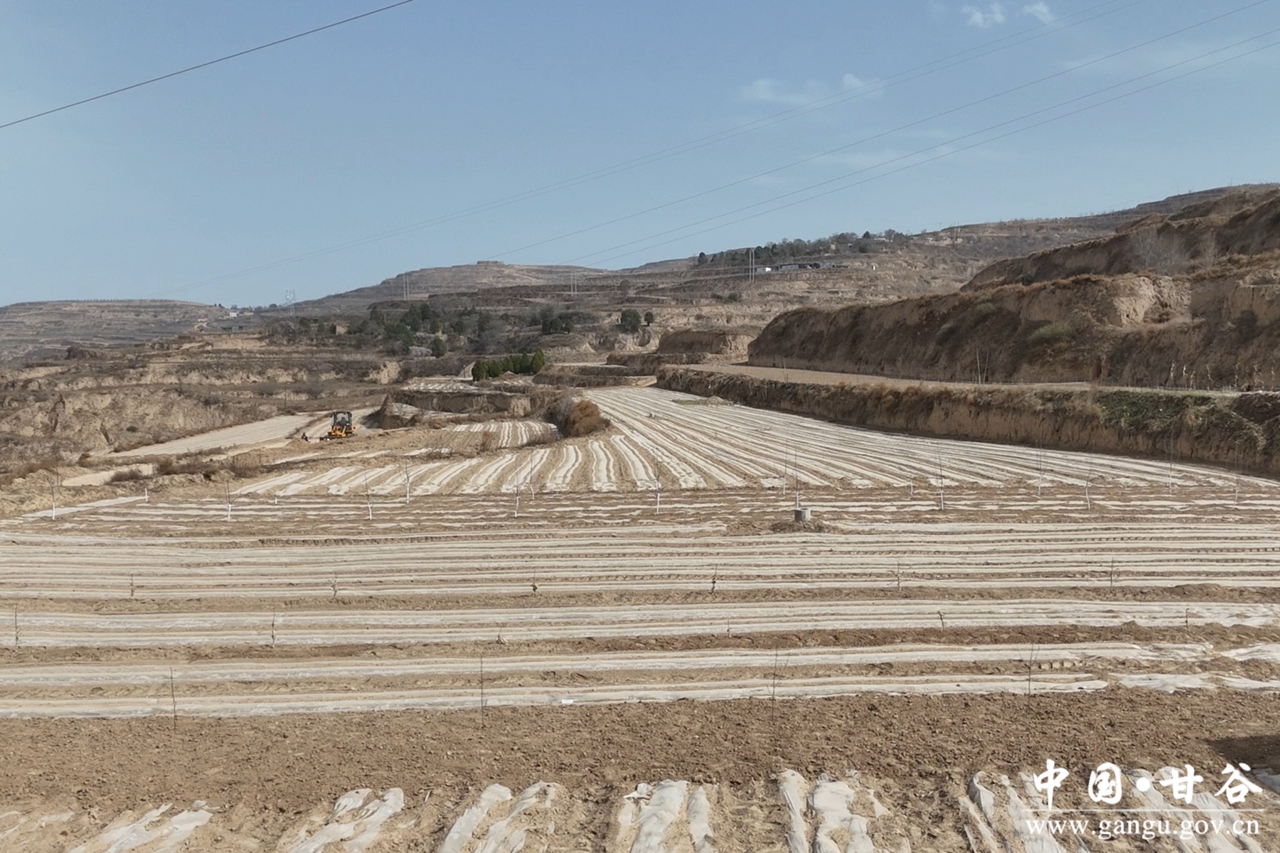 微信图片_20250403181555 微信图片_20250403181555