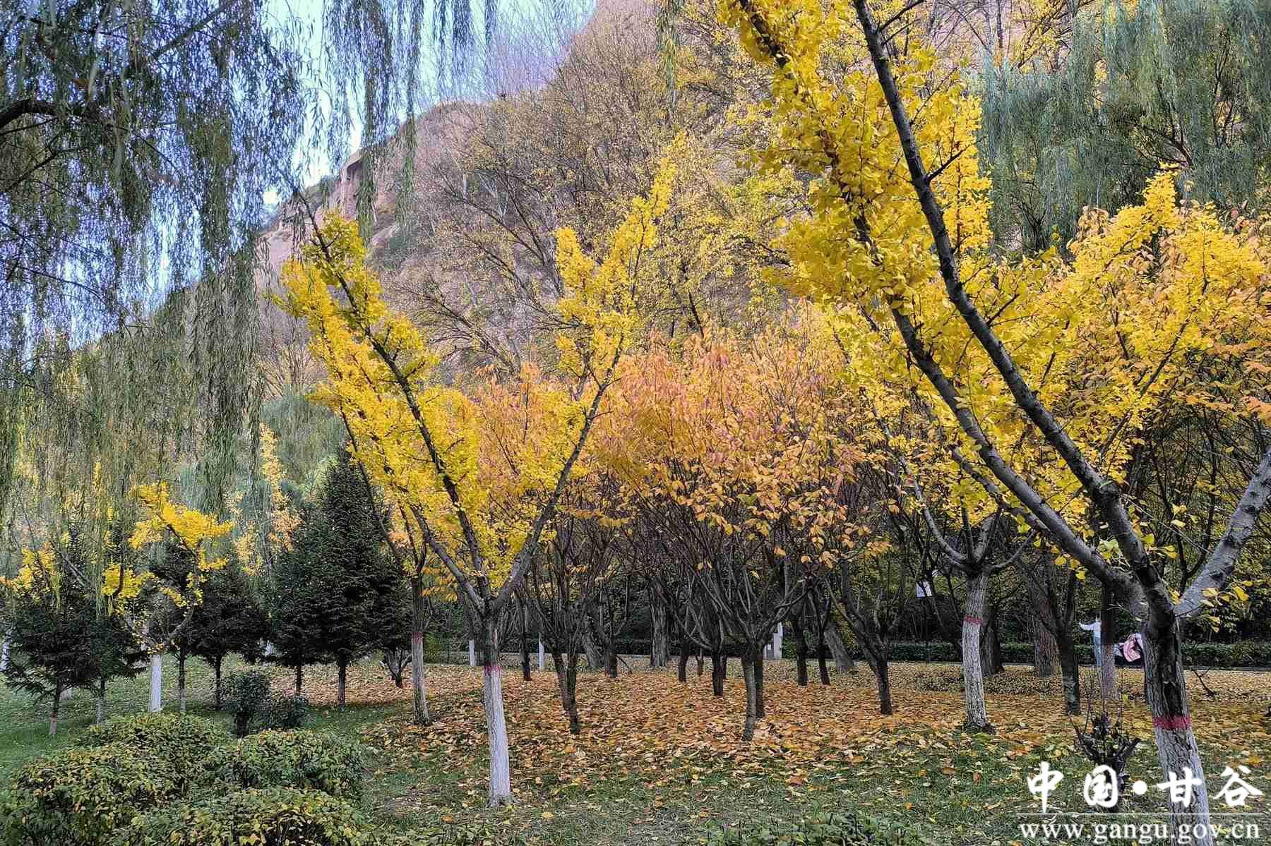 王小龙 (1) 王小龙 (1)