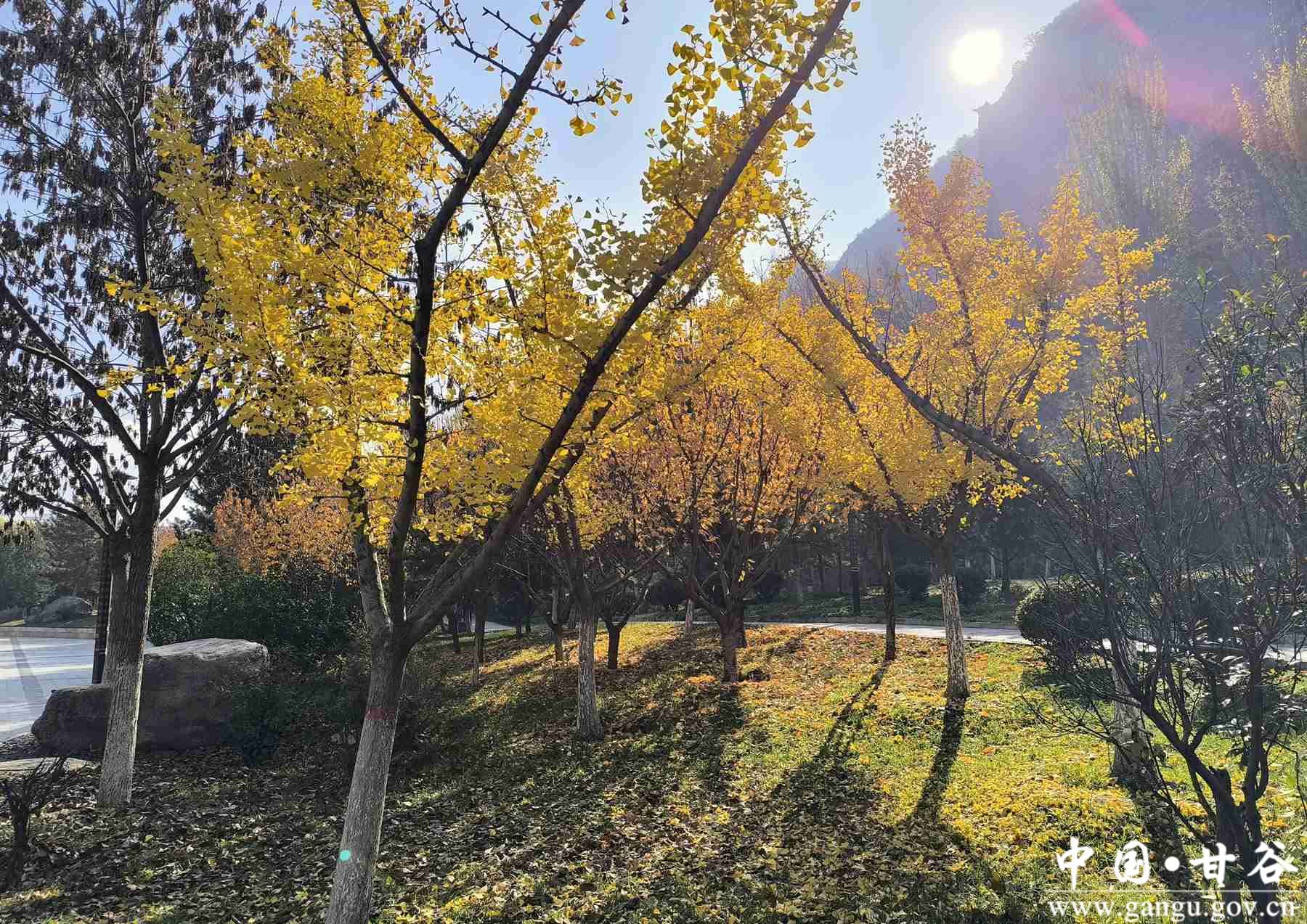 王小龙 (3) 王小龙 (3)