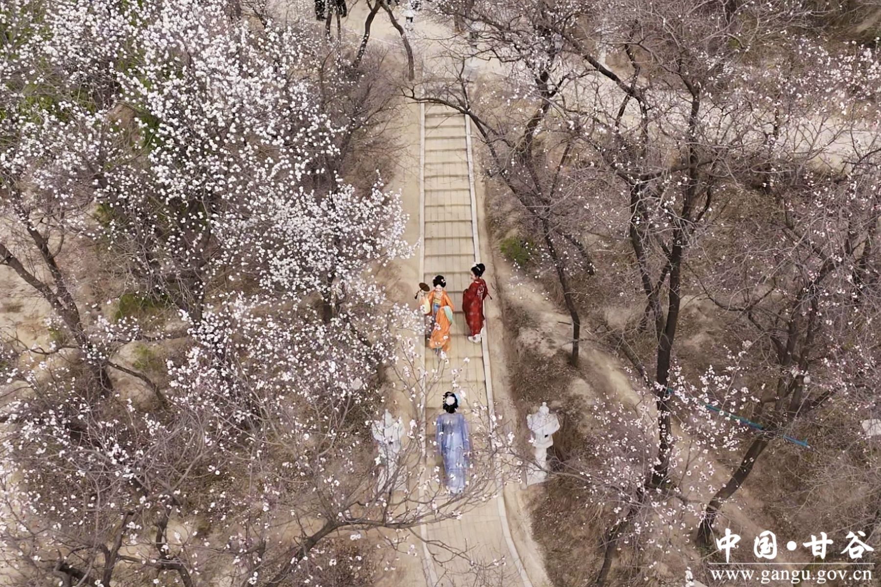 微信图片_20250405172659_副本_副本 微信图片_20250405172659_副本_副本