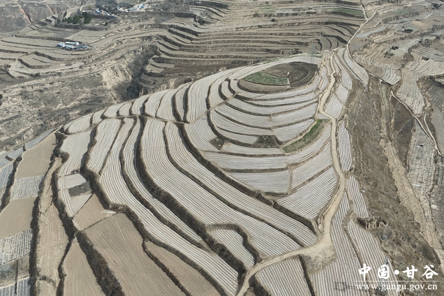 微信图片_20250403181533 微信图片_20250403181533