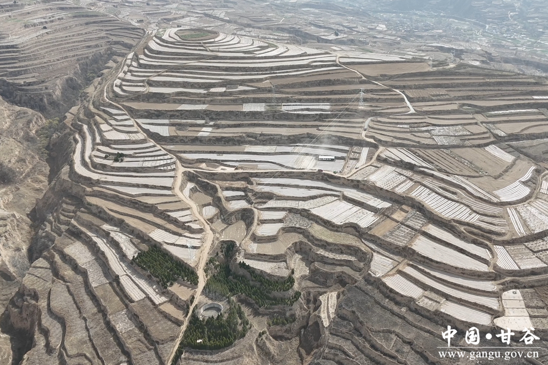 微信图片_20250403181520 微信图片_20250403181520