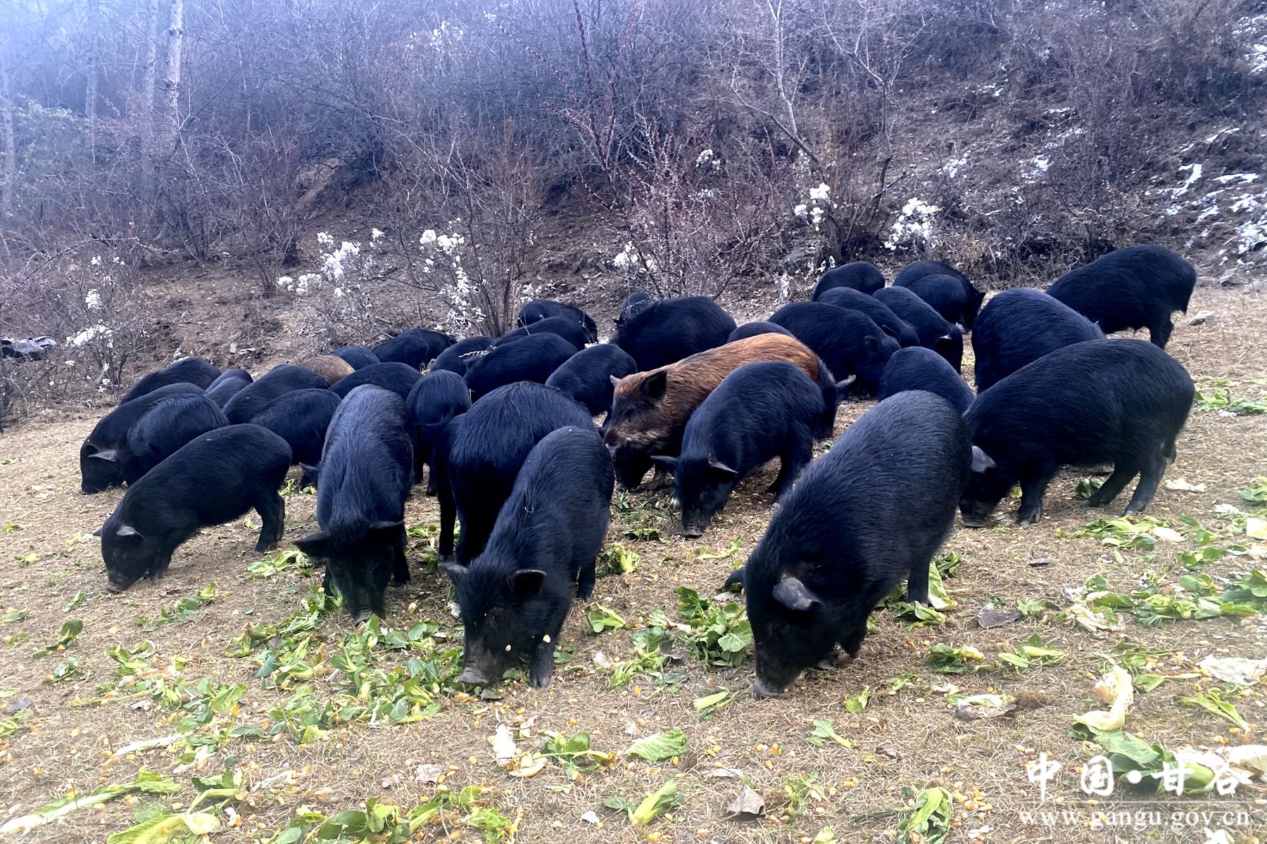 6ae74f2edf5fce83f7108ba39c9b6aaa 6ae74f2edf5fce83f7108ba39c9b6aaa