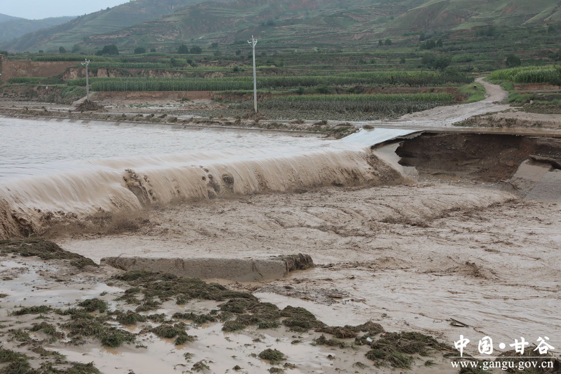 926A3162_副本 926A3162_副本