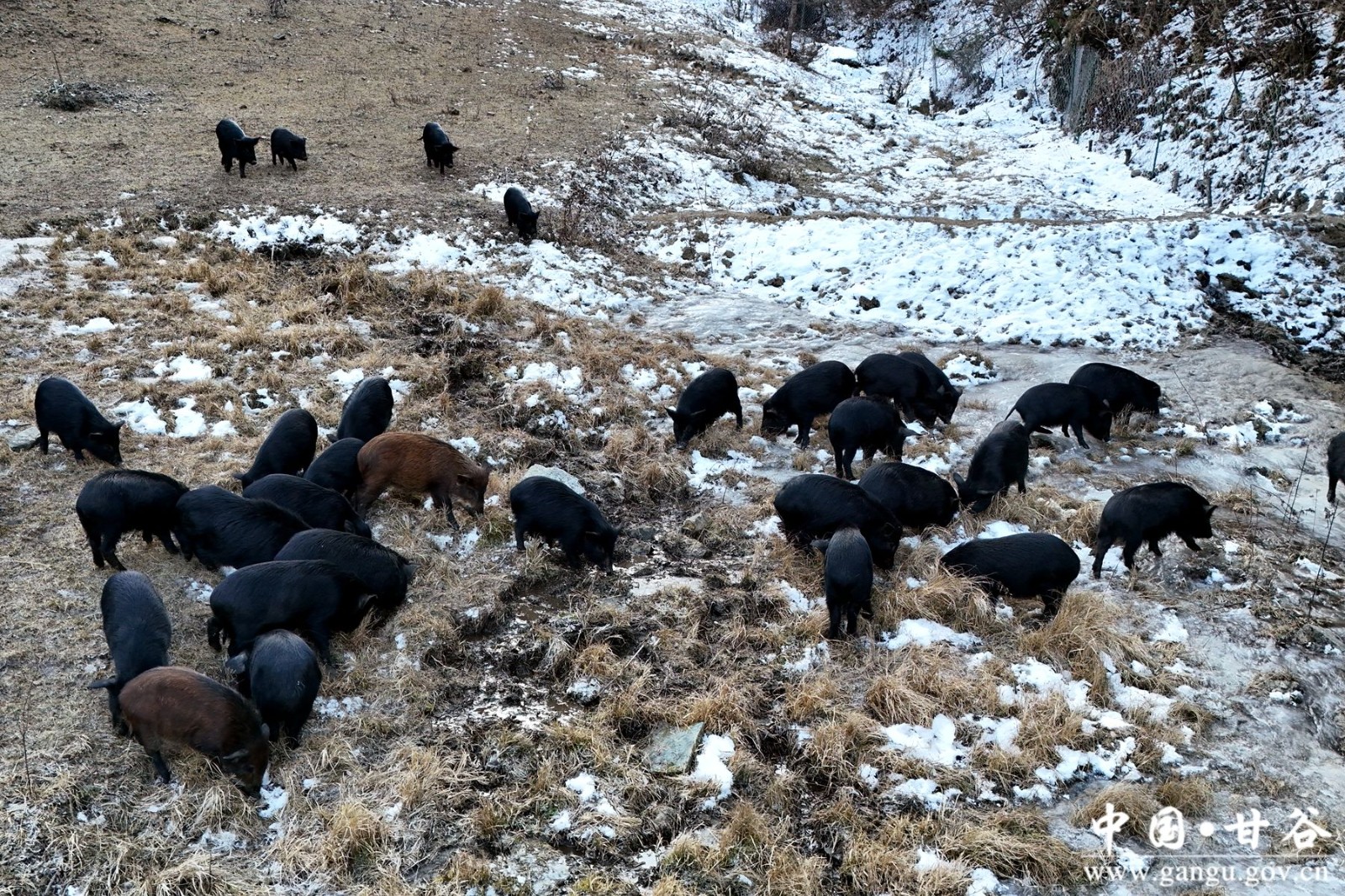 8455aba349db16cc49cff00a873505b6 8455aba349db16cc49cff00a873505b6