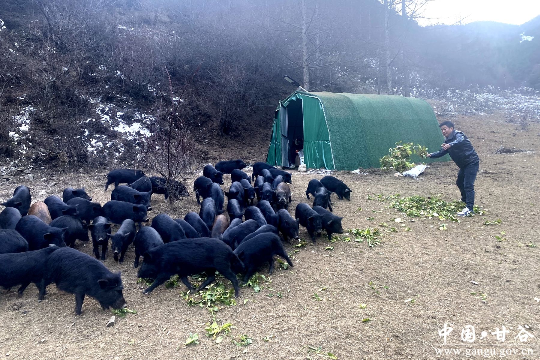 2042918b29680d235184910781bc6693 2042918b29680d235184910781bc6693