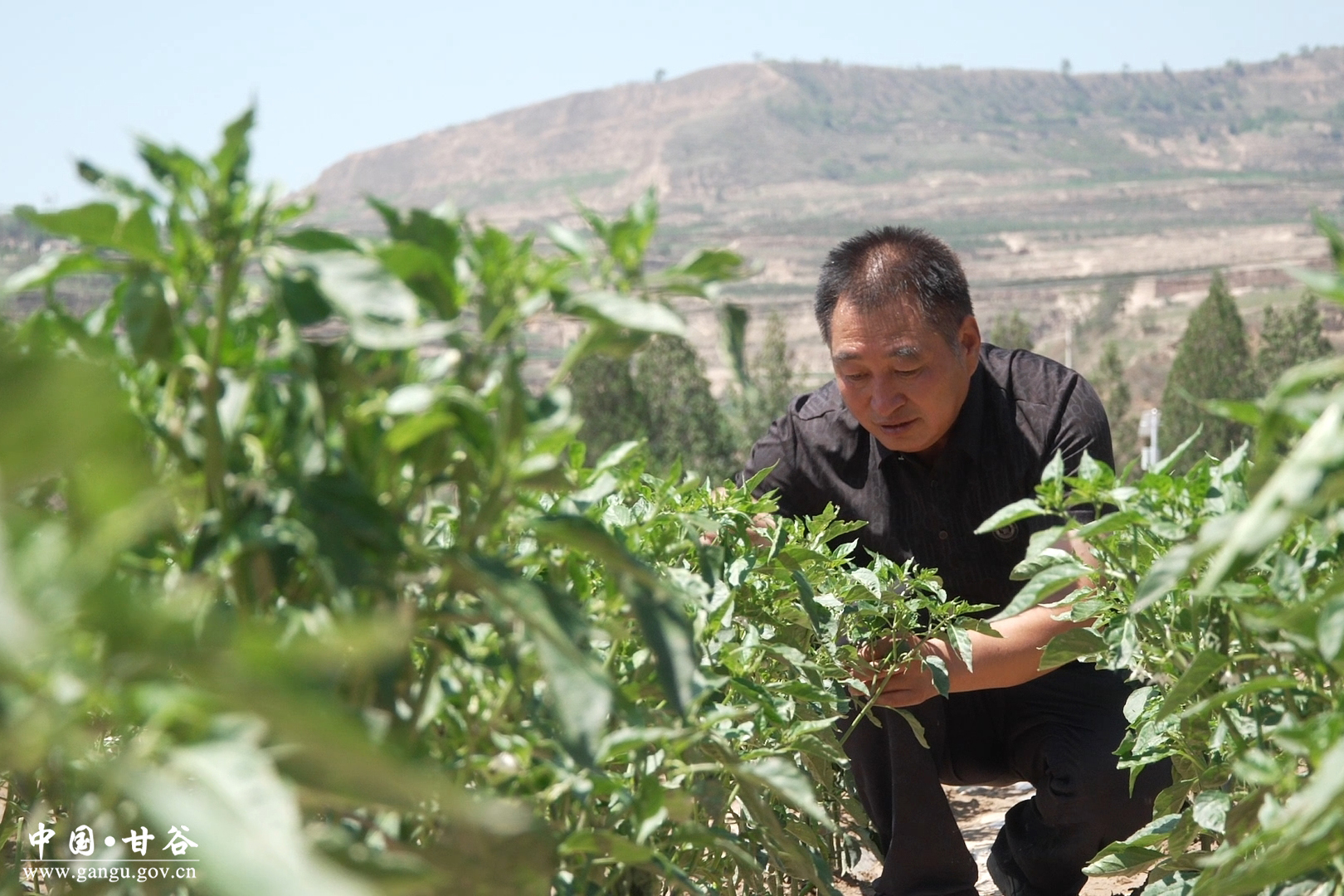 1751254312417010582.jpg 1751254312417010582.jpg