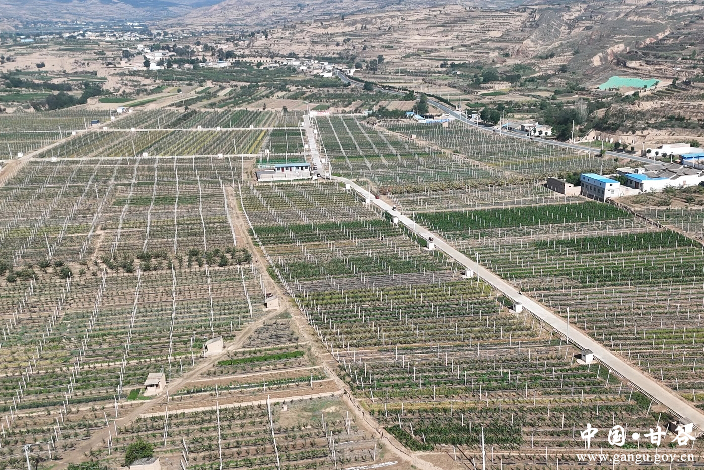 1751255045163080507.jpg 1751255045163080507.jpg