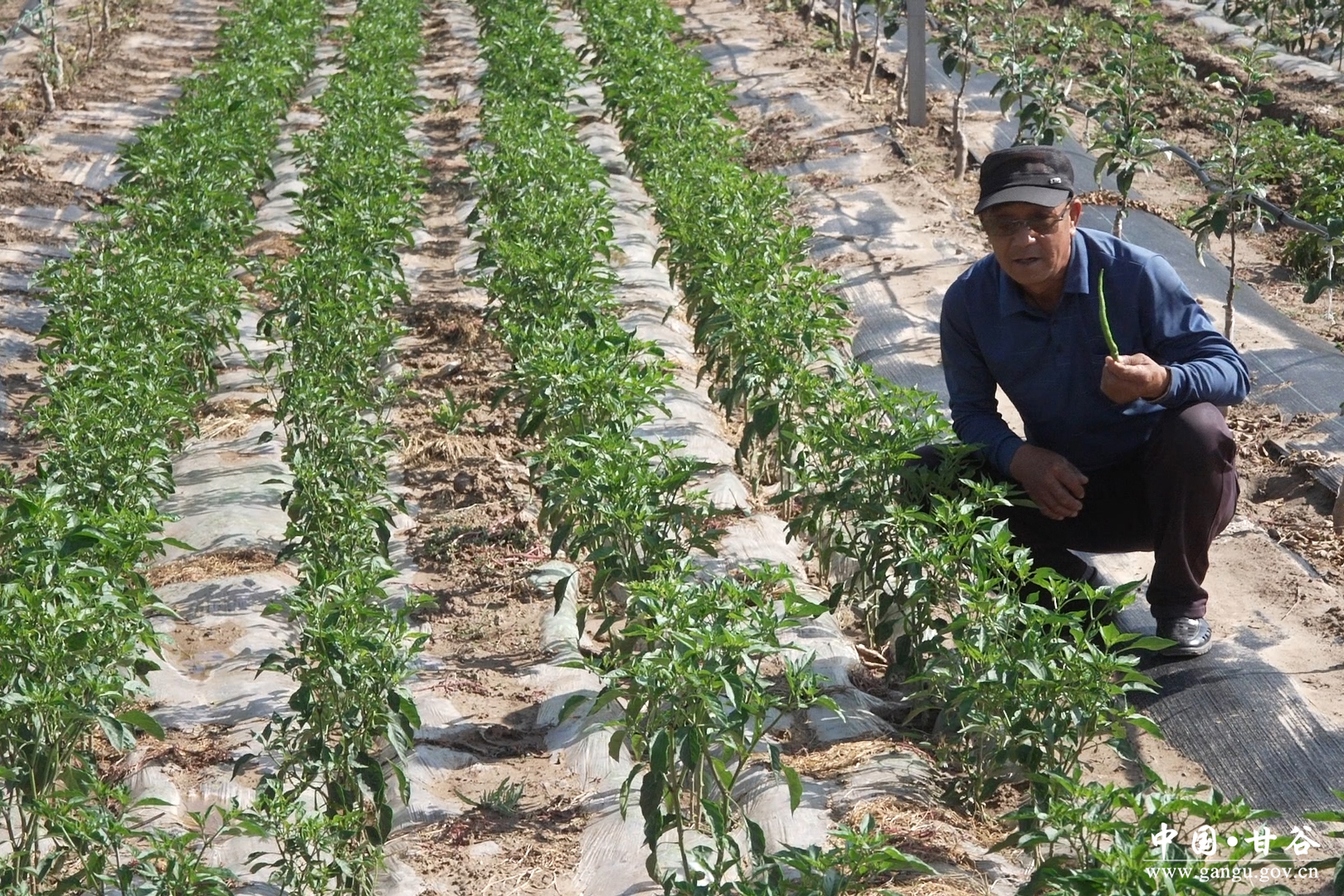 1751255033908006865.jpg 1751255033908006865.jpg