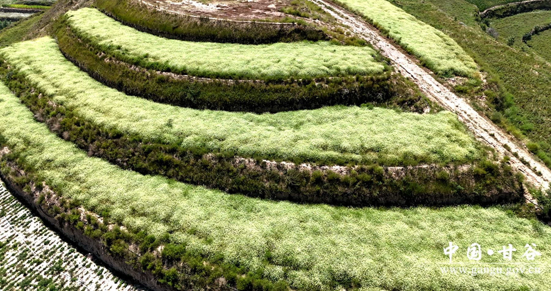 49978c6b47081cc7b925aec102c0eb4 49978c6b47081cc7b925aec102c0eb4