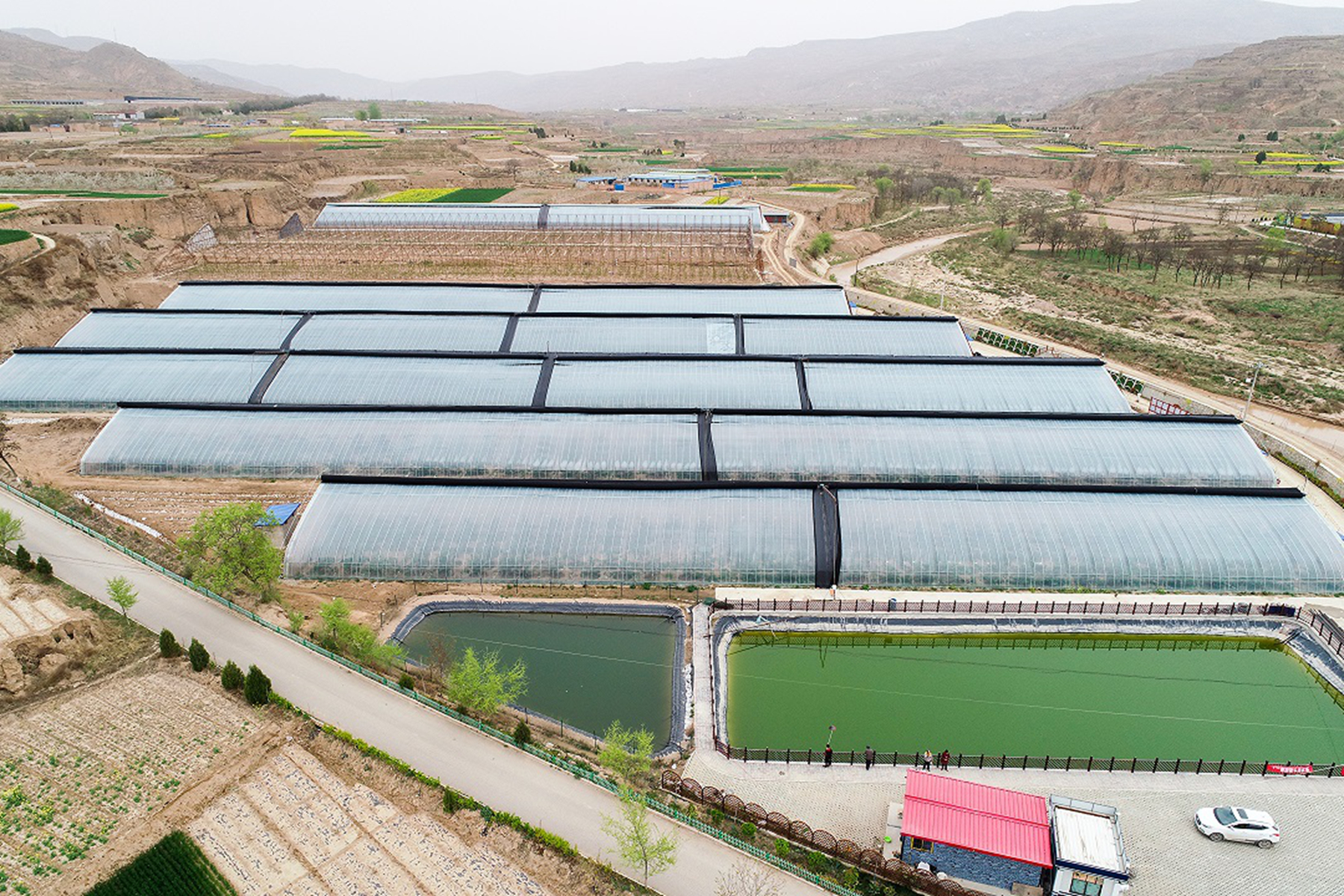 14-基层党建-甘谷县安远镇反季节樱桃大棚 14-基层党建-甘谷县安远镇反季节樱桃大棚