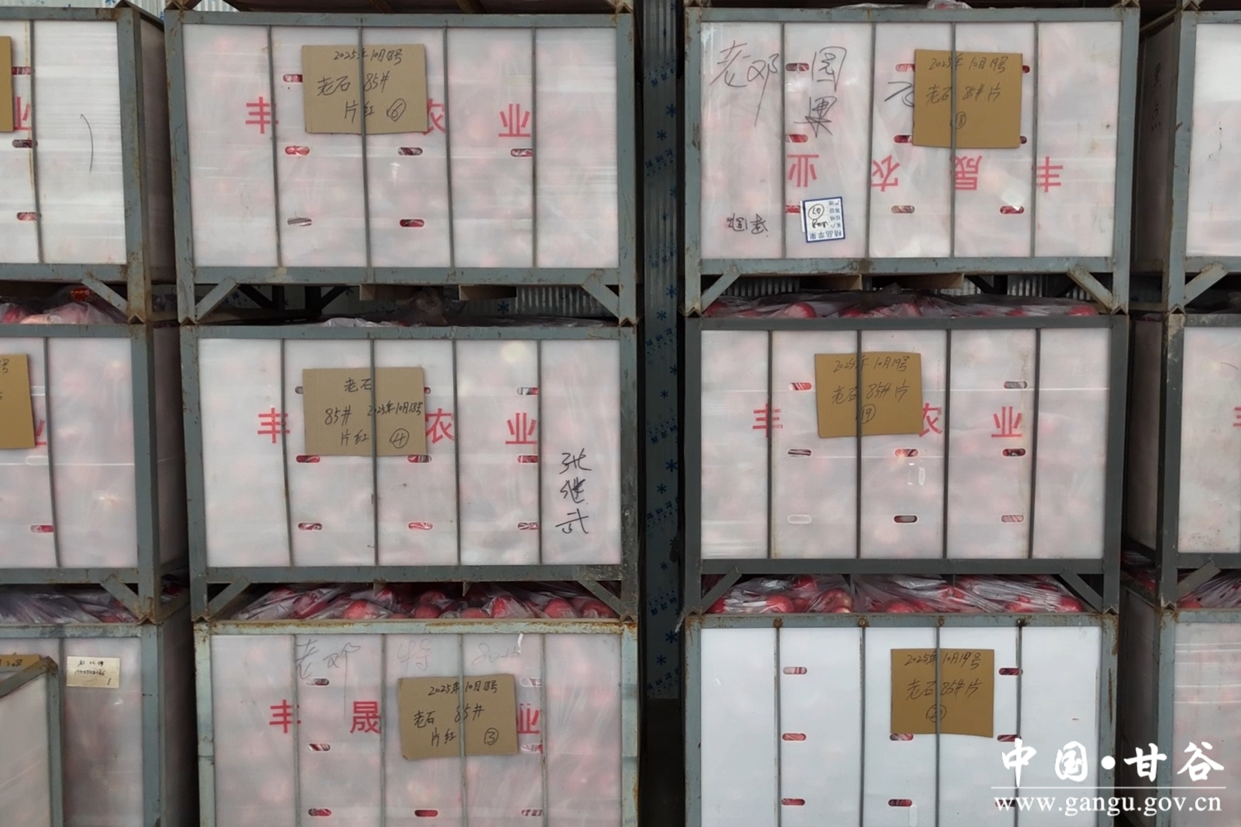 微信图片_20251022114532_13_148 微信图片_20251022114532_13_148