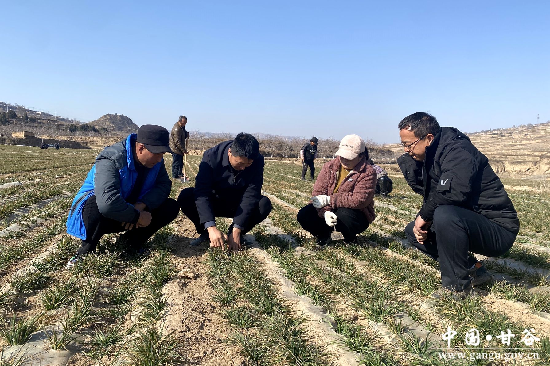 b2b420e86432d4ebf999faa4fe08bff b2b420e86432d4ebf999faa4fe08bff