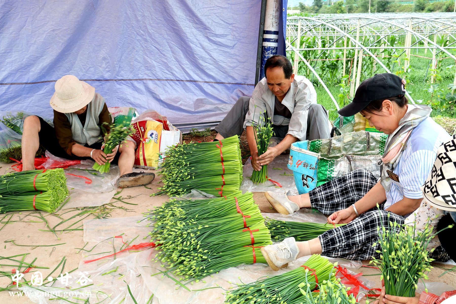 343a79a0d121f9b1ed537d159db6087 343a79a0d121f9b1ed537d159db6087