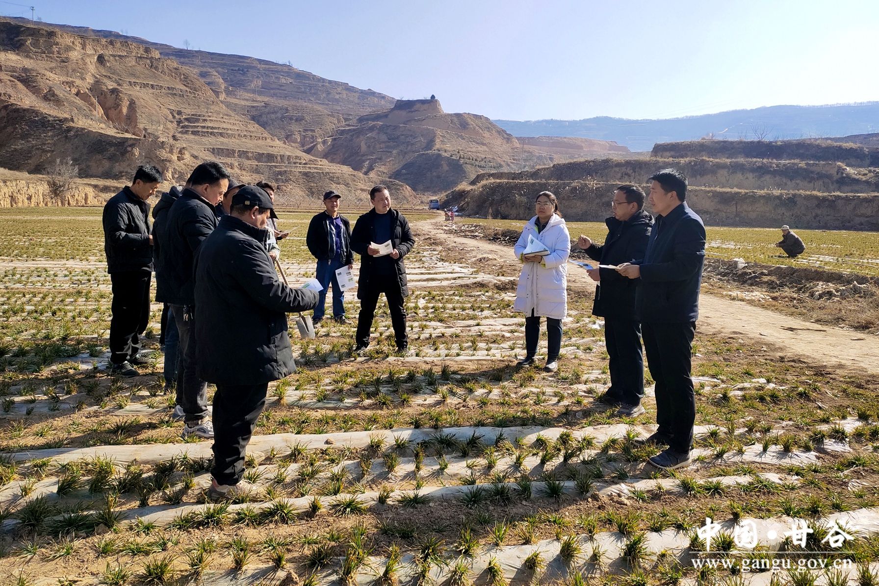 94116dfa93e24aa6c707c19c3141877 94116dfa93e24aa6c707c19c3141877