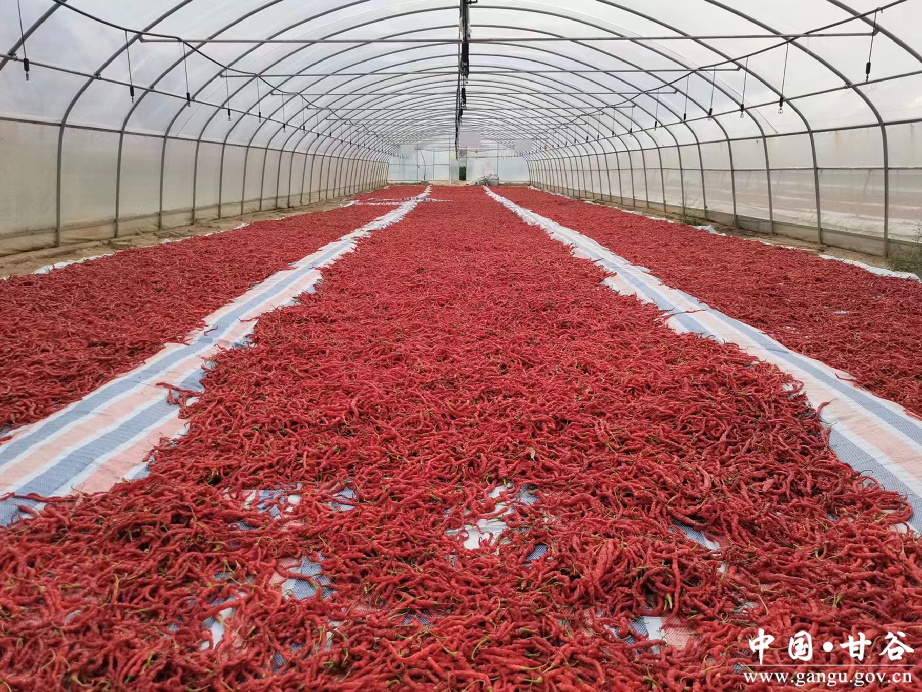 1712713032782060310.jpg 1712713032782060310.jpg