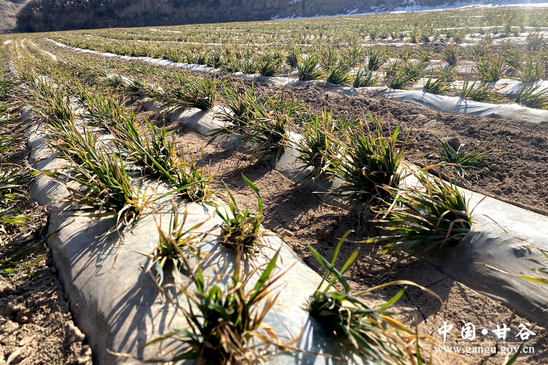 f1c3eef9d12cf459a95e51ea5d1ead9 f1c3eef9d12cf459a95e51ea5d1ead9